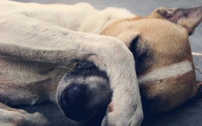 What To Do When The Day Isn’t Going Your Way